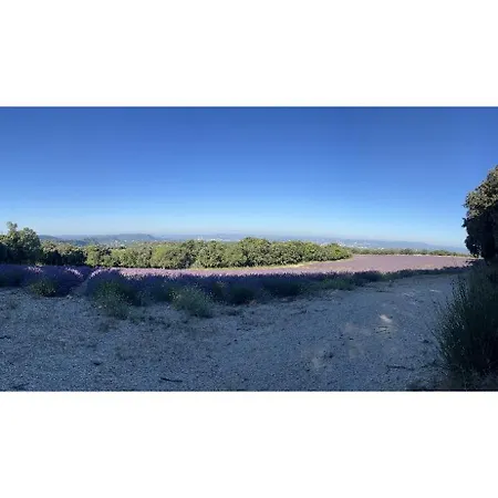 וילה Le Rouergue